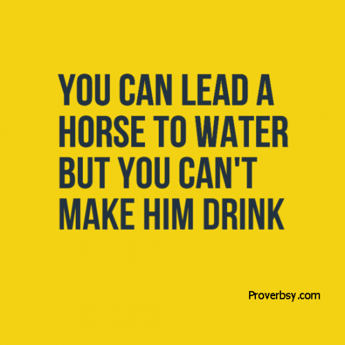 You can lead a horse to