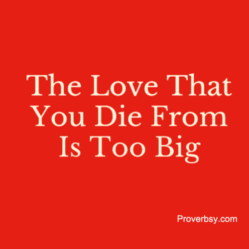The Love That You Die From Is Too Big - Proverbsy