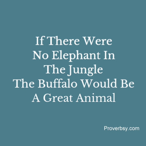 If There Were No Elephant In The Jungle - Proverbsy