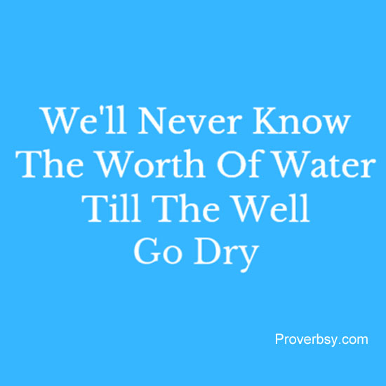 We'll Never Know The Worth Of Water Till The Well Go Dry - Proverbsy